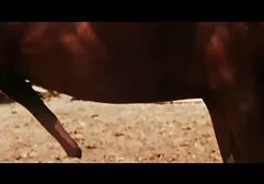 ตรวจดูของหมอและคนไข้ วี ดี หนัง โป้